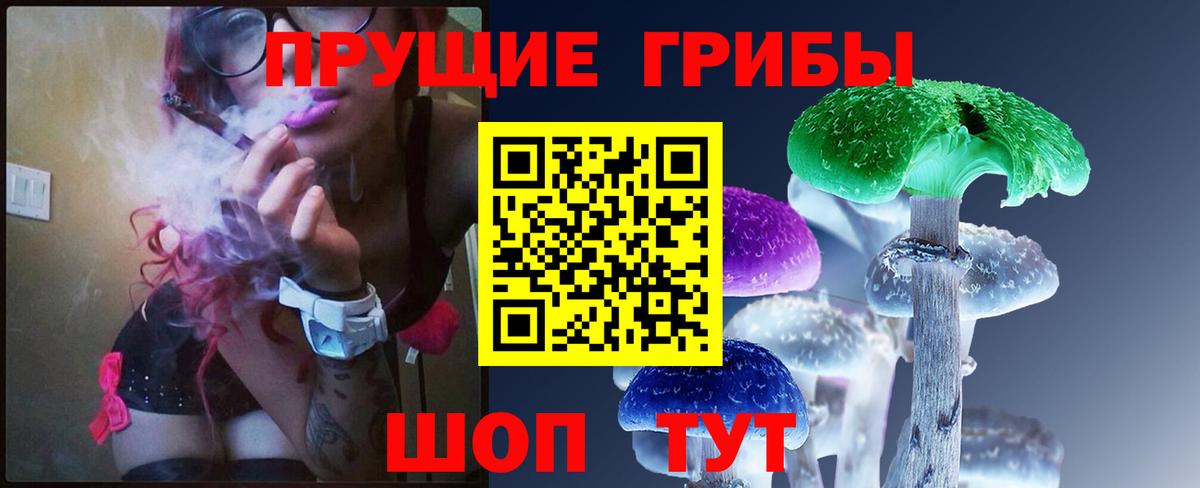 Галлюциногенные грибы Cubensis  Вход с VPN  Янаул 
